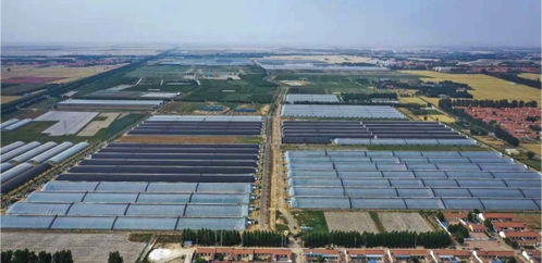 从一组数据看潍坊寿光市31年的精彩蝶变