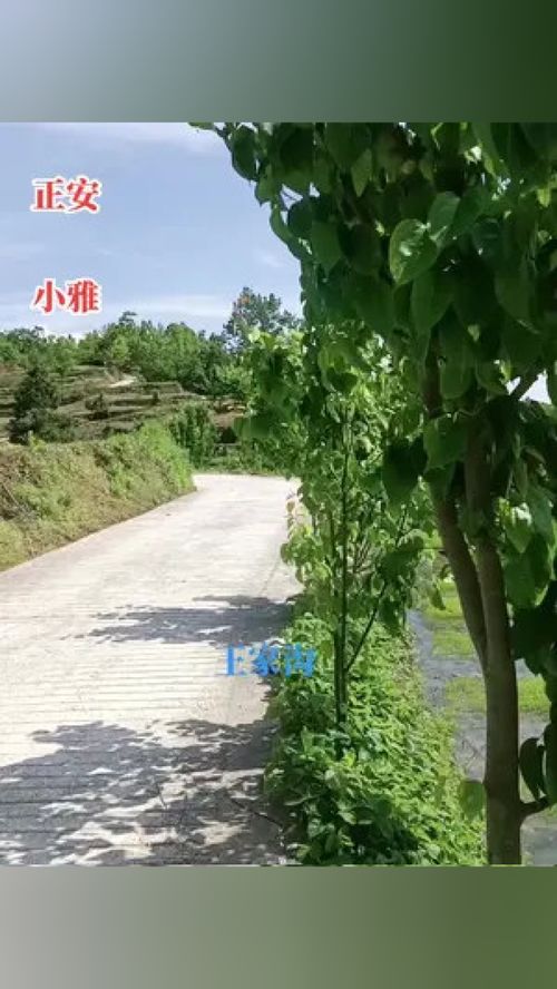 大山深处自然美山清水秀好风光 农村的空气就是好 金山银山不如绿水青山 刷到的朋友开心快乐每一天