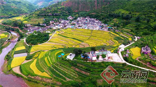 山清水秀彝乡美 云南姚安县左门乡农村人居环境整治工作散纪