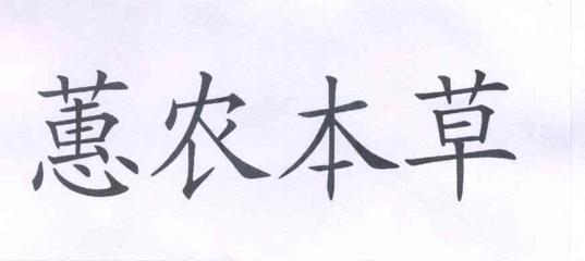 宁夏早安情枸杞研究所