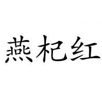 惠农区蕙农枸杞专业合作社