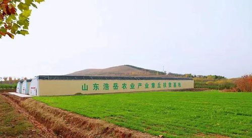 来这里,给你一个收获满满的秋天