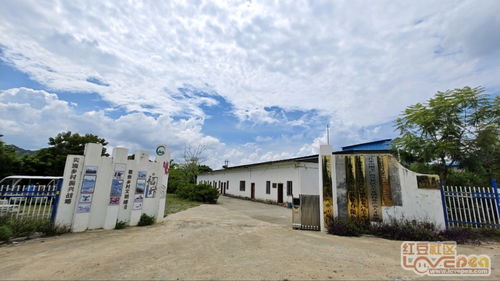 绿水青山留住乡愁,生态农业大有可为